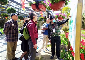 宗保黨員志愿服務(wù)隊全力備戰花博會(huì )