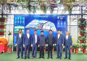 宗保公司赴金山楓涇九豐農業(yè)參觀(guān)學(xué)習